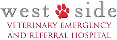 WESTSIDE HOSPITAL LOGO NO BG